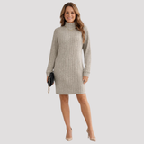 Women's Ribbed Turtleneck Knit Dress