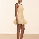 Laleh Ruffled Lace-Up Mini Dress In Yellow