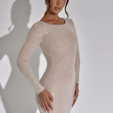 Sheer Long Sleeve Mini Dress – Elegant Fitted Party Dress